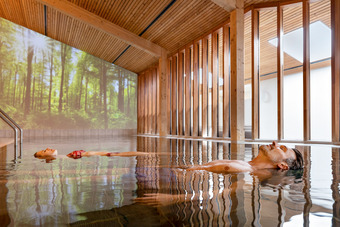 Zwei Personen treiben entspannt im Thermalbecken, Holzdecke und Waldbild im Hintergrund.